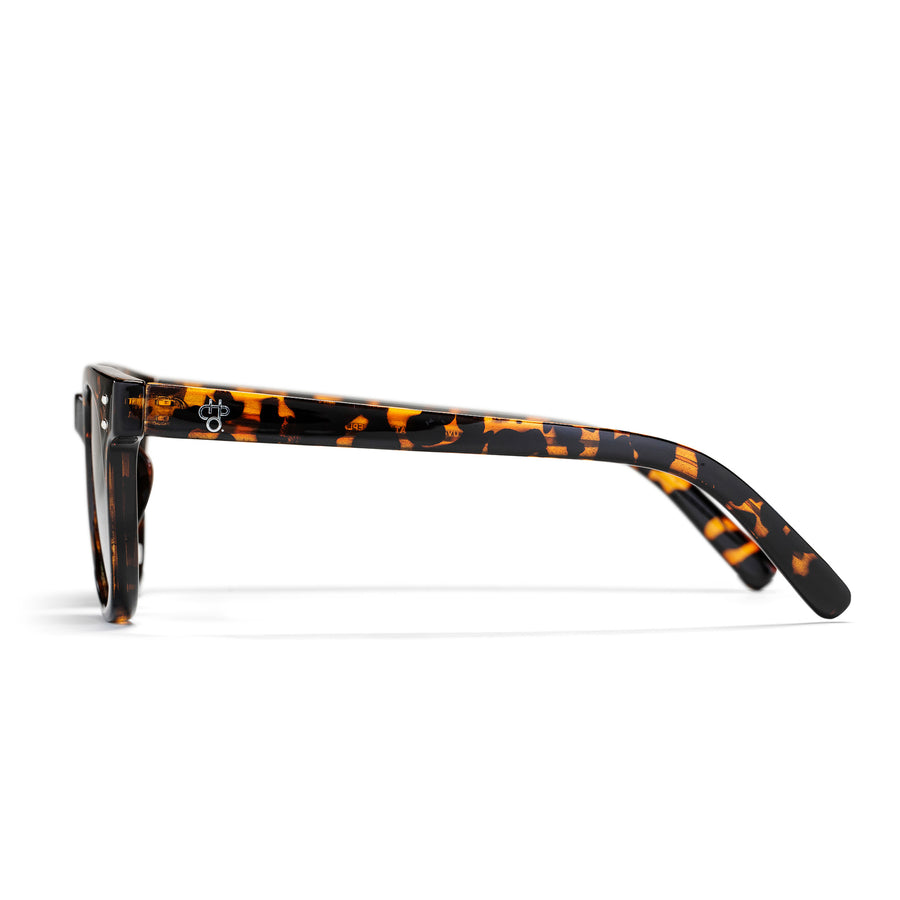 Sonnenbrille TORÖ X — Bild 3